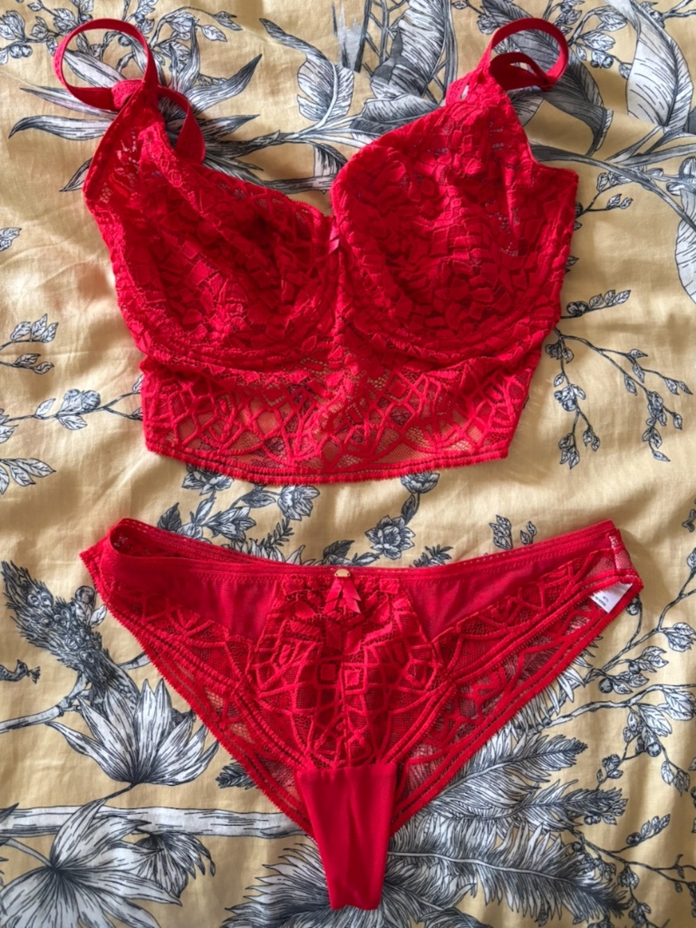 New! Freya Longline Bra & Panty Set